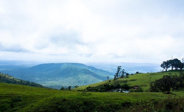 更多的機會 更多的機會