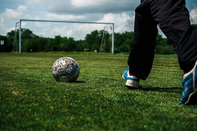 尼亞嚴密的 尼亞嚴密的