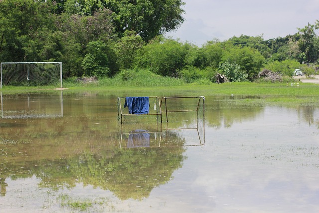 不仅如此 不仅如此
