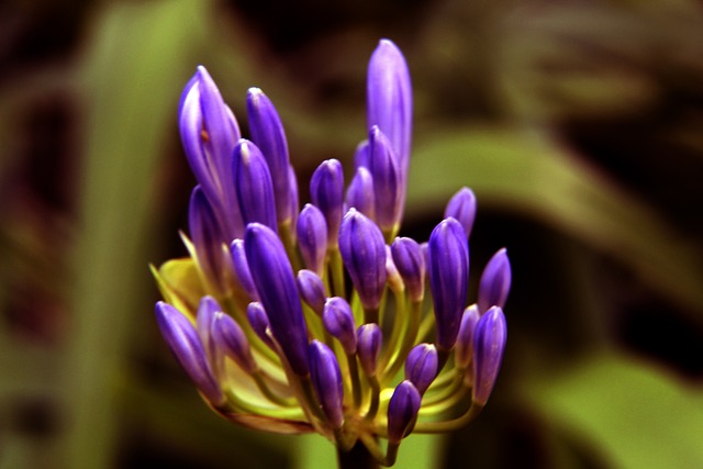 在五人制中 在五人制中