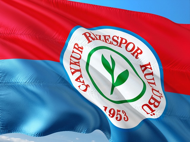 数据明显提 数据明显提