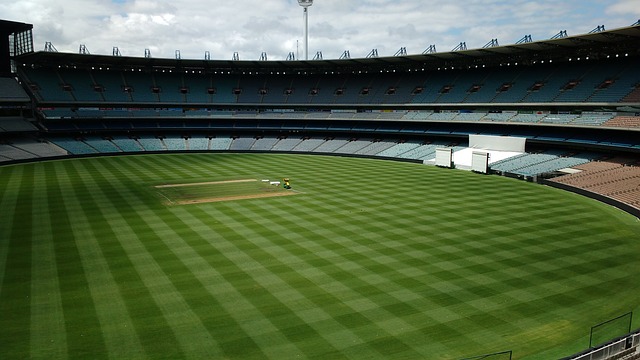 拥有积极的 拥有积极的