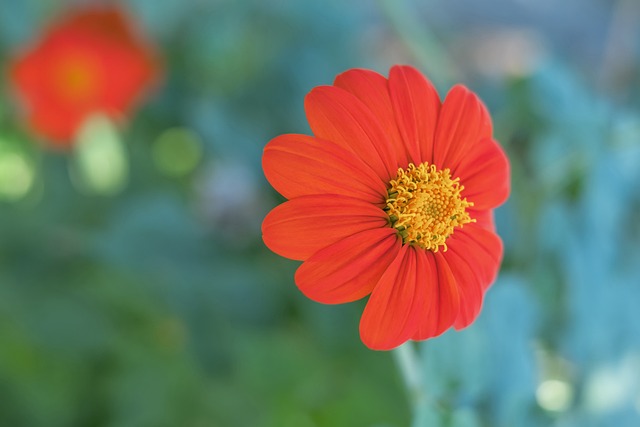 的耐心和支 的耐心和支